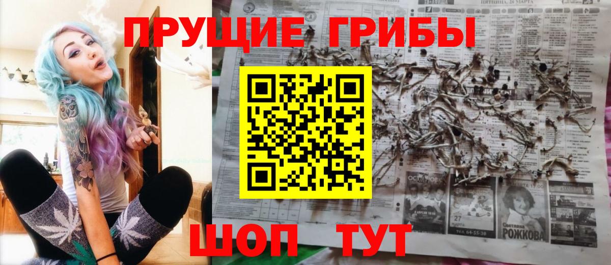 Галлюциногенные грибы GOLDEN TEACHER Карталы