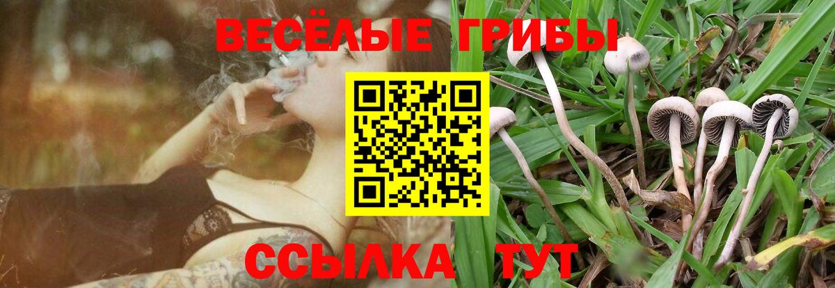 Галлюциногенные грибы ЛСД  Вход с VPN  Псилоцибиновые грибы Cubensis  Карталы 